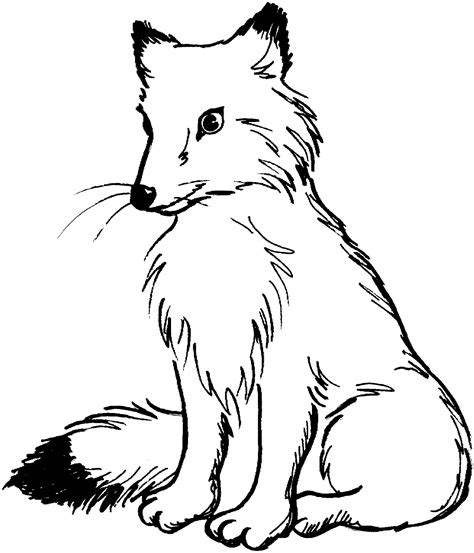 Printable Coloring Pages Fox